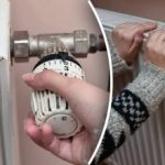 Baterije se bodo segrele: domiseln trik, s katerim radiatorje spremenite