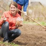 Česa ne sadimo po čebuli: 90 % vrtnarjev naredi isto napako Česa ne sadimo po čebuli: 90 % vrtnarjev naredi isto