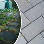 Plevel na dvorišču bo čez noč izginil, če ga poškropite