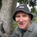 Prazno drevo ni sodba: preizkušen način za podaljšanje življenjske dobe drevesa Prazno drevo ni sodba: preizkušen način za podaljšanje življenjske dobe