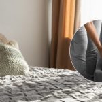 Strokovnjaki so pozvali, da ležišče postavite ob okno na sončno svetlobo: kaj je razlog Strokovnjaki so pozvali, da ležišče postavite ob okno na sončno