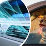 Vročinski val je prizadel Ukrajino: kako hitro ohladiti notranjost avtomobila brez klimatske naprave Vročinski val je prizadel Ukrajino: kako hitro ohladiti notranjost avtomobila