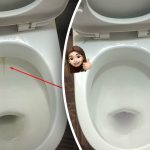 Z enim izdelkom boste straniščno školjko pobelili do popolnega sijaja: kako se v 15 minutah znebiti zobnih oblog in umazanije Z enim izdelkom boste straniščno školjko pobelili do popolnega sijaja: